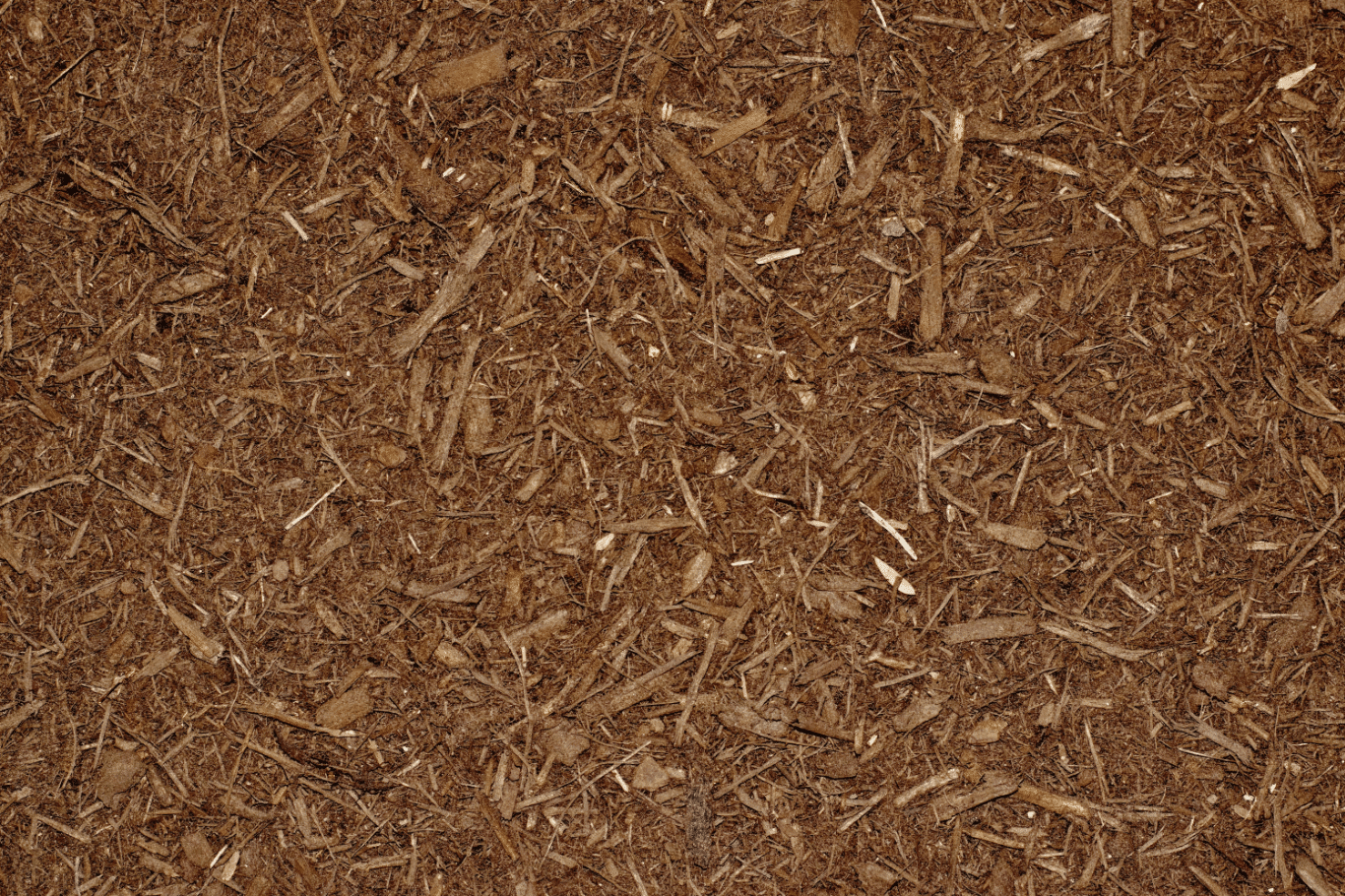 Revalorisation déchets de BOIS